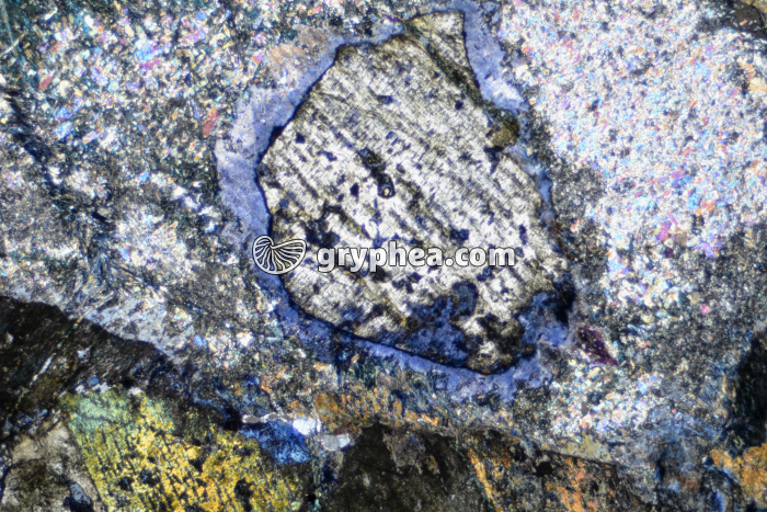 Glaucophane LPA x7 - gryphea.com